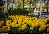 توصیه‌های فوق‌تخصص بیماری‌های ریه در فصل بهار