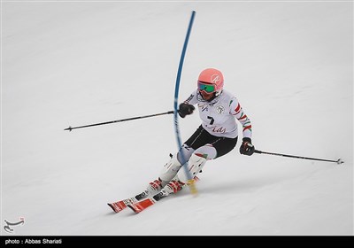 مسابقات اسکی قهرمانی بانوان الپاین - دیزین
