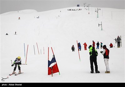 مسابقات اسکی قهرمانی بانوان الپاین - دیزین