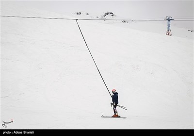 مسابقات اسکی قهرمانی بانوان الپاین - دیزین