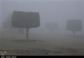 مه غلیظ در کیش