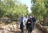 شهرداری بخشی از باغ‌های شیراز را خریداری می‌کند