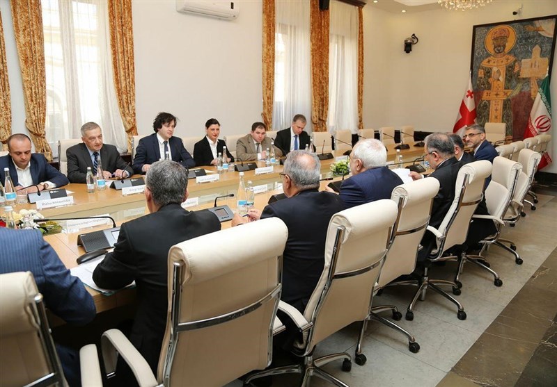 ظریف با رئیس پارلمان گرجستان دیدار کرد