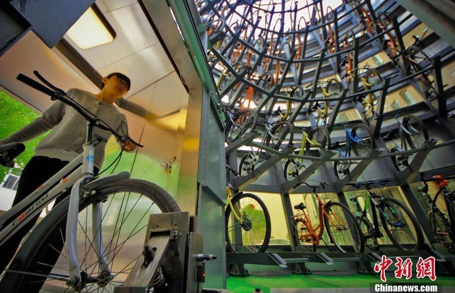چرخ‌هایی برای «نجات بشریت»/ کشورها چقدر از دوچرخه استفاده می‌کنند