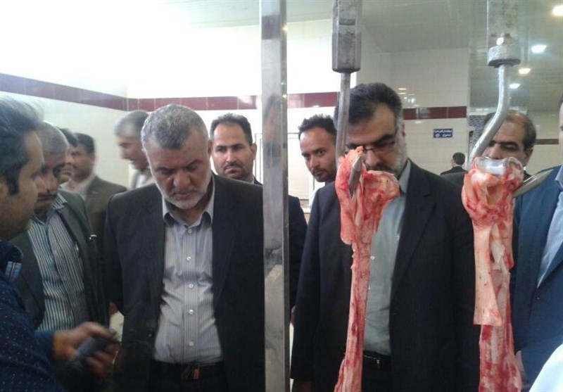 وزیر جهاد کشاورزی از بزرگ‌ترین زنجیره پرورش شترمرغ در شیراز بازدید کرد