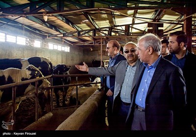 سفر معاون رئیس جمهور به کردستان