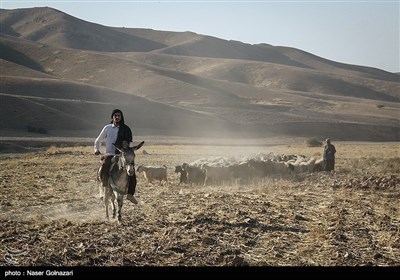 ایران کے صوبہ ایلام میں خانہ بدوشوں کی زندگی