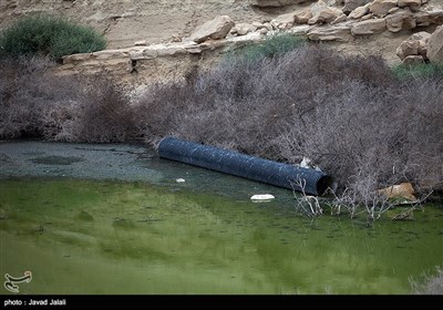 به مناسبت روز زمین پاک