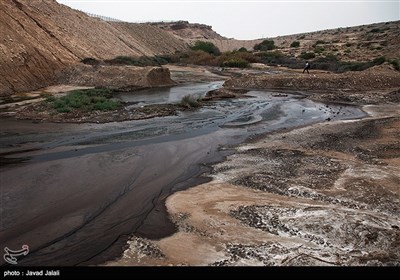 به مناسبت روز زمین پاک