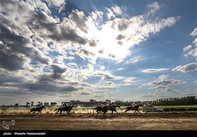 رقابت های اسب دوانی کورس بهاره در گنبد کاووس
