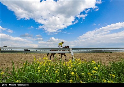 رقابت های اسب دوانی کورس بهاره در گنبد کاووس
