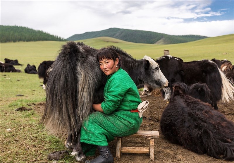 عکس/زندگی روستایی زن مغول از نگاه نشنال جئوگرافیک