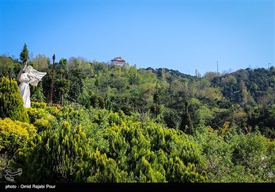 طبیعت بهاری رودسر