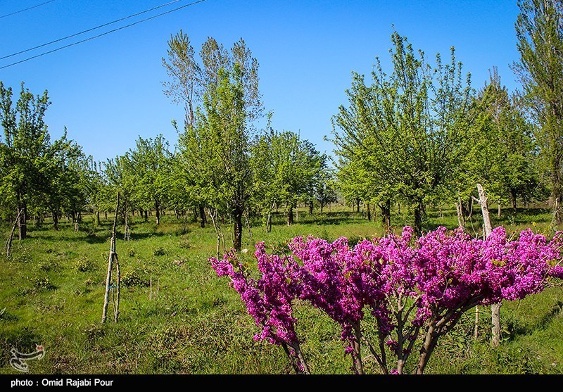 https://newsmedia.tasnimnews.com/Tasnim/Uploaded/Image/1396/02/03/1396020320061362610619974.jpg