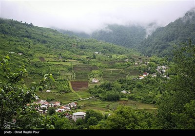 طبیعت بهاری رودسر