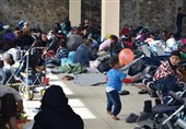 احتمال توقف اخراج پناهجویان افغانستانی دارای کودک از هلند