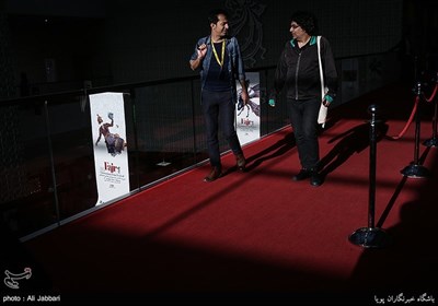 ششمین روز سی‌وپنجمین جشنواره جهانی فیلم فجر