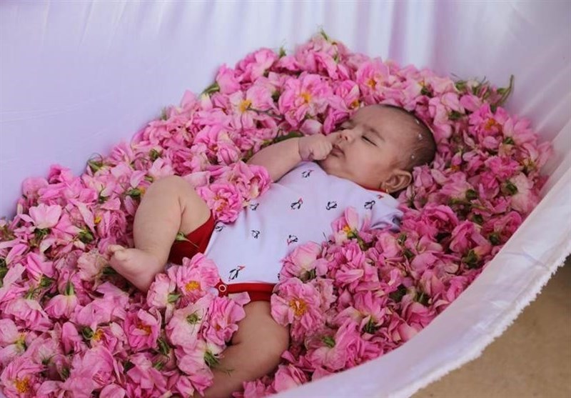 &quot;گل غلتانی&quot;؛ آیینی سنتی کاشانی‌ها برای محافظت پوست بدن نوزادان