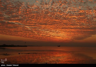 کلبه هور - خلیج فارس