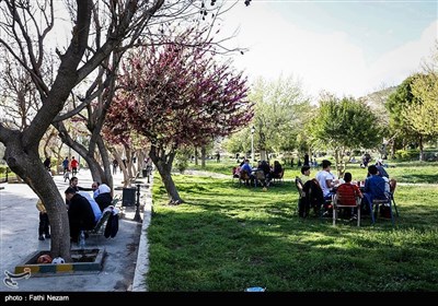 Spring in Syrian Capital of Damascus