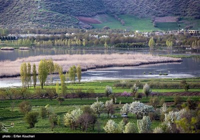 دریاچه زریوار یکی از منحصر به فردترین دریاچه‌ های آب شیرین در جهان به شمار می‌ رود و کلیه شرایط جامع یک تالاب بین المللی را داراست. آب دریاچه زریوار شیرین است و از جوشش چشمه هایی که در کف دریاچه واقع شده اند، تأمین می شود و بدین گونه در فرهنگ جغرافیایی، از دریاچه زریوار به بزرگ ترین چشمه آب شیرین جهان تعبیر شده، به طوری که نه تنها هیچ رودخانه ای به آن وارد نمی شود بلکه خود دریاچه، سرچشمه رودخانه ای به نام رودخانه مریوان است