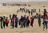 Suriye&apos;nin Kuzeydoğusunda 37 Mülteci IŞİD Tarafından Öldürüldü