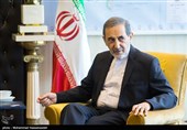 High Turnout in Polls Proves Iranians’ Fondness for Islamic Establishment: Velayati