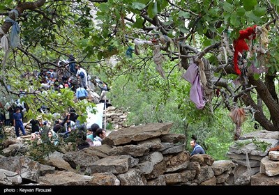 مراسم آیینی کومسای در اورامان تخت - کردستان