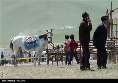 جشنواره فرهنگی ورزشی عشایر در منطقه قره قیه شهرستان کلیبر