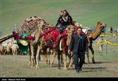 جشنواره ملی عشایر در کهگیلویه و بویراحمد برگزار می‌شود