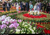 نمایشگاه گلهای داوودی در باغ گیاهشناسی خرمآباد برپا شد