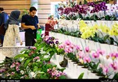 همدان| سیزدهمین نمایشگاه گل و گیاه و ماهیان زینتی در همدان برگزار می‌شود