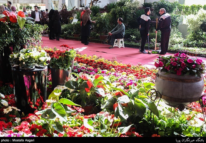 ششمین نمایشگاه سراسری گل و گیاه در اراک برگزار می‌شود