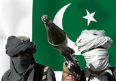 ابراز نگرانی افغانستان و ایران از حضور تروریست‌ها در پاکستان تایید مواضع هند است