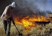 «پارک ملی کرخه» همچنان در آتش می‌سوزد/ تبدیل 100 هکتار از این پارک به خاکستر + فیلم و عکس