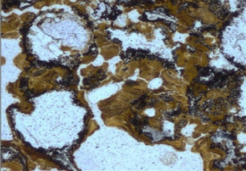 العثور على أقدم أثر للحیاة على الأرض منذ 3.4 ملیار عام