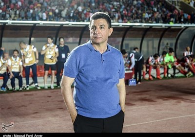 امیر قلعهنویی