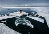صید از میان یخ در عکس روز نشنال جئوگرافیک