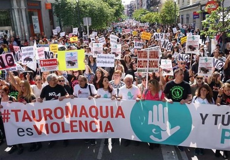 تظاهرات معترضان به گاوبازی در اسپانیا+عکس