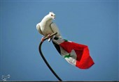 محله استراتژیک «القابون» پس از آزادسازی / کبوترهایی که پرچم سوریه را حمل می‌کنند + تصاویر اختصاصی