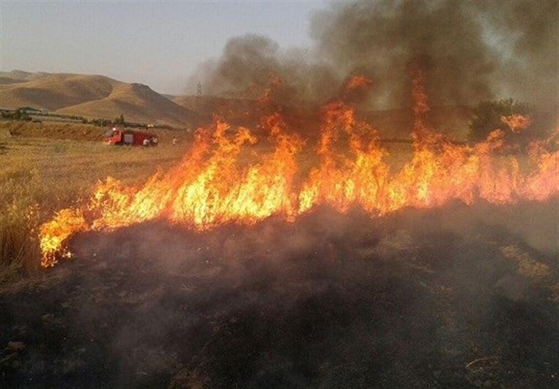 آتش‌سوزی مزارع «چم‌گز» پلدختر مهار شد