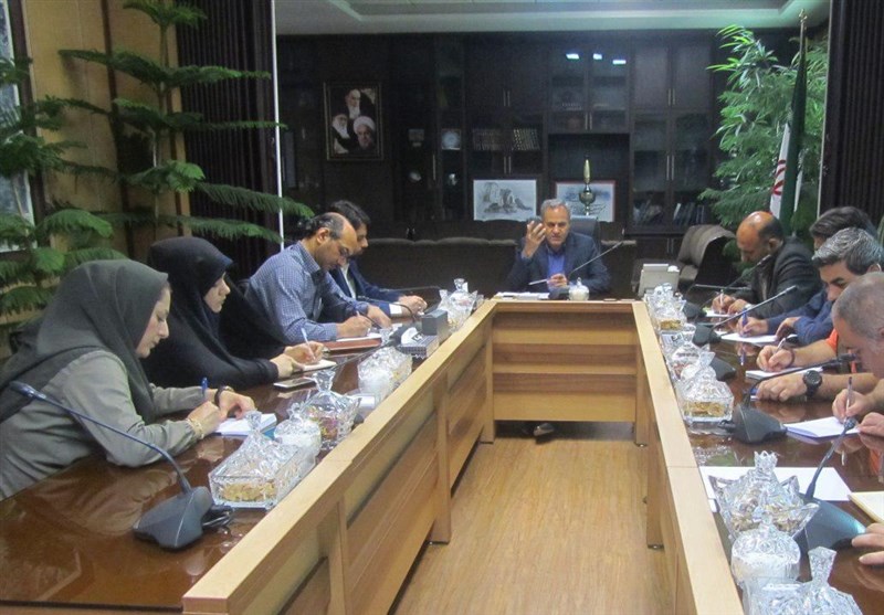 مشارکت 81 درصدی مردم اسلامشهر در انتخابات‌