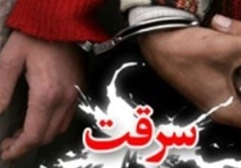 اعضای باند سرقت 5 میلیارد ریالی در مهدی‌شهر دستگیر شدند