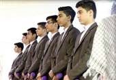 گروه طاها لارستان