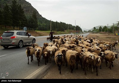 کوچ عشایر لرستان