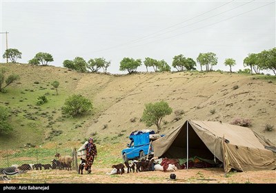 کوچ عشایر لرستان