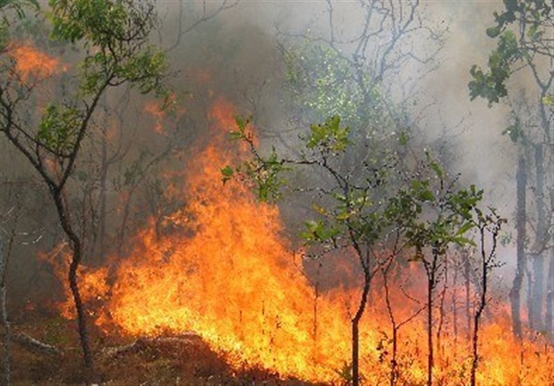 اراضی ملی کوهدشت در هراس آتش؛ حریق مراتع «گدارگه ضرون» مهار شد