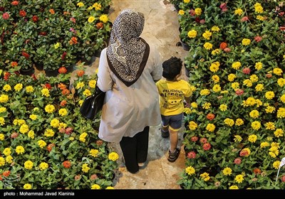 نمایشگاه گل و گیاه در کرمان