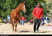 جشنواره ملی اسب اصیل ترکمن در استان گلستان برگزار میشود