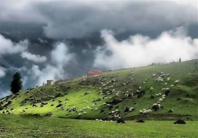 The Outstanding Natural Beauty of the Forests in Iran&apos;s Masal Region